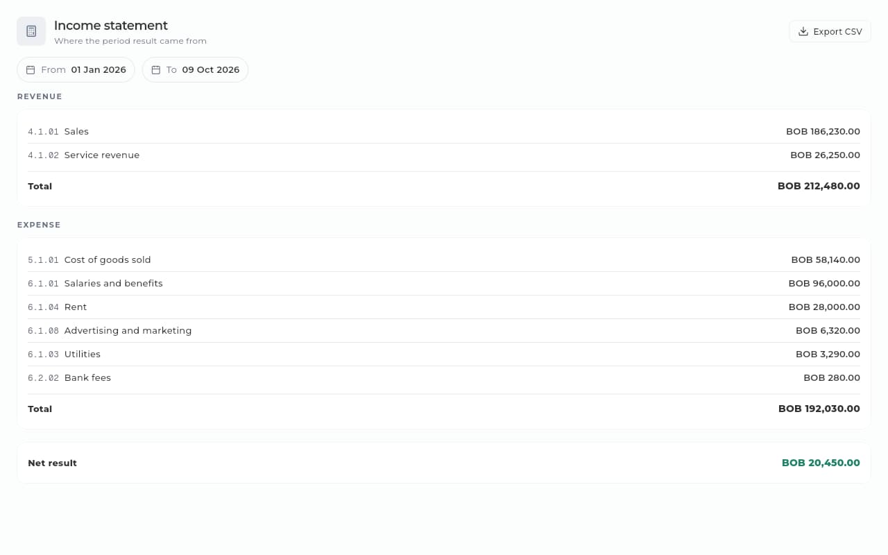Sice income statement with revenue, expenses by account and net result for the year.