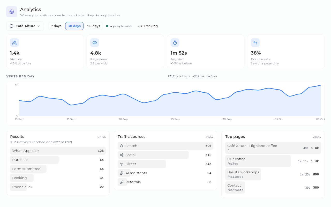 Sice website analytics: visits per day, traffic sources and top pages